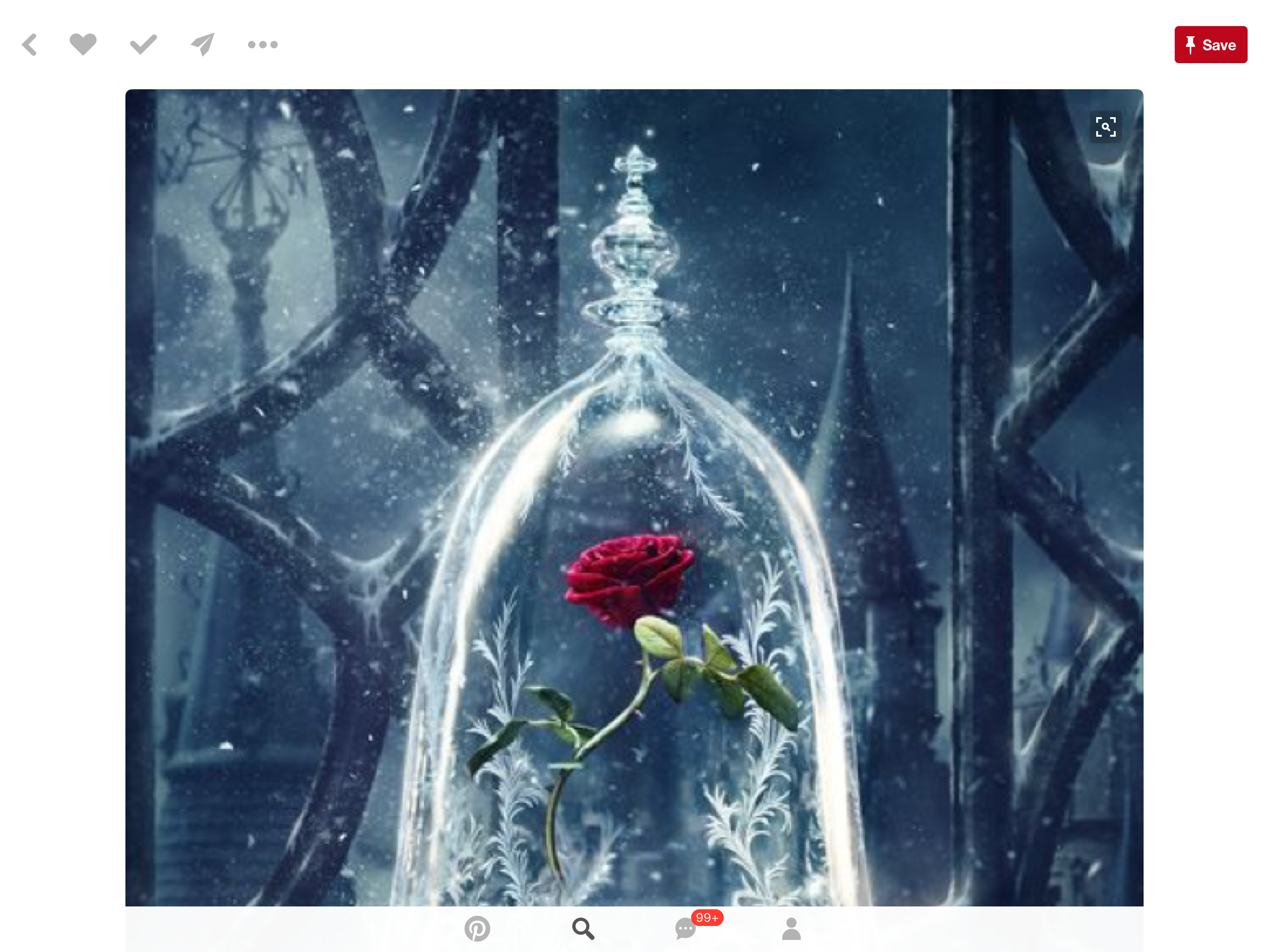 Detail Beauty And The Beast Rose Wallpaper Nomer 40