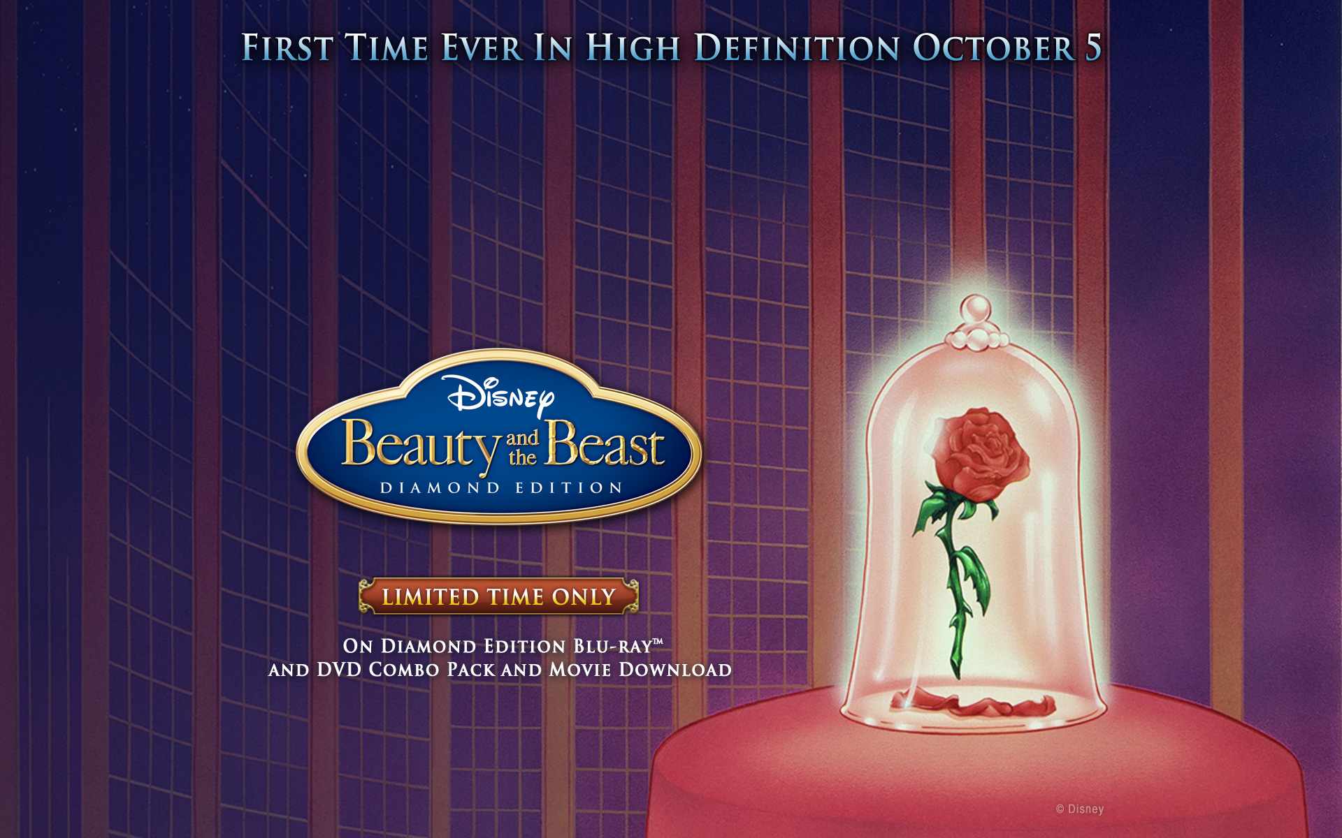 Detail Beauty And The Beast Rose Wallpaper Nomer 48