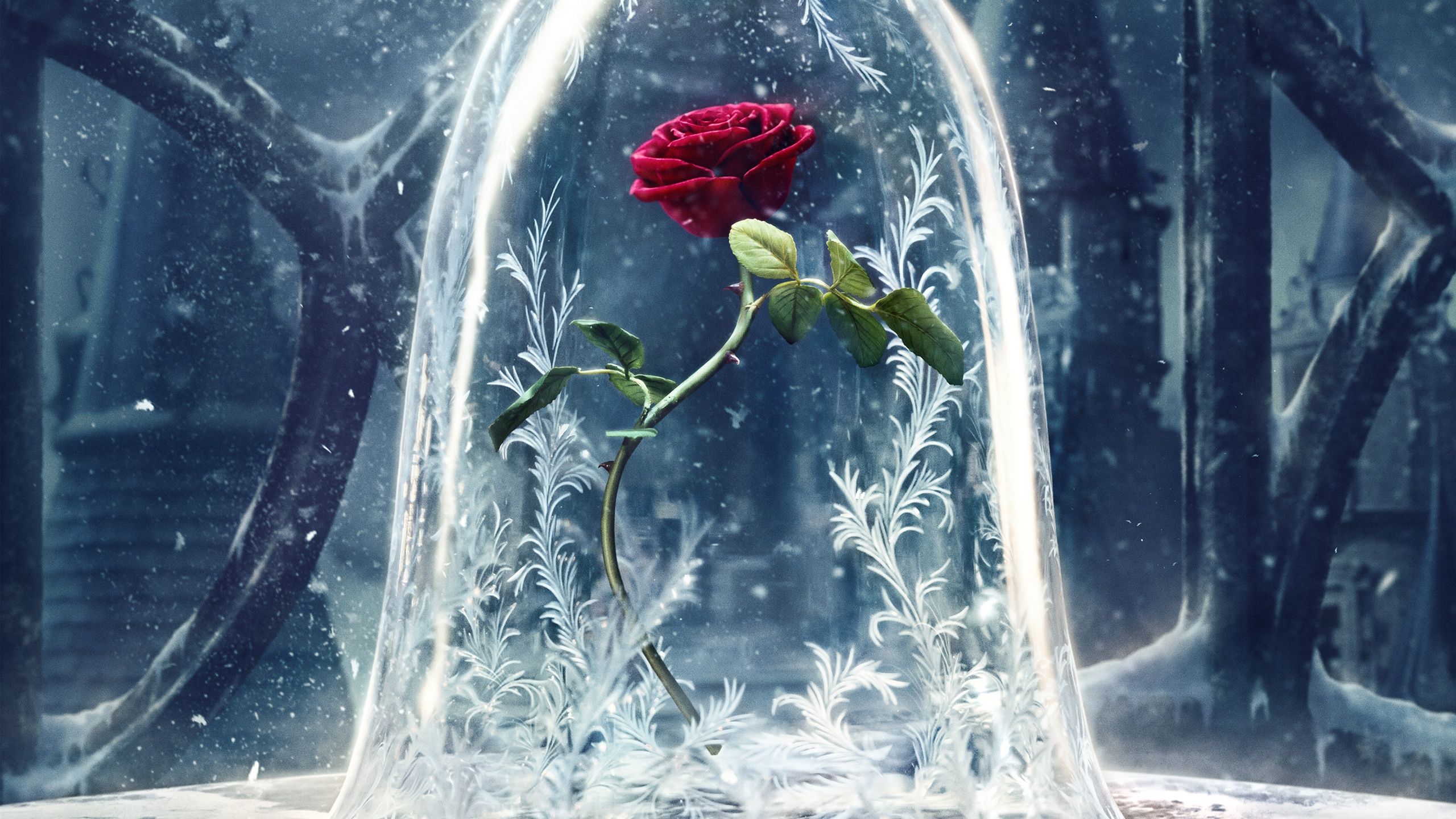 Detail Beauty And The Beast Wallpaper Hd Nomer 27