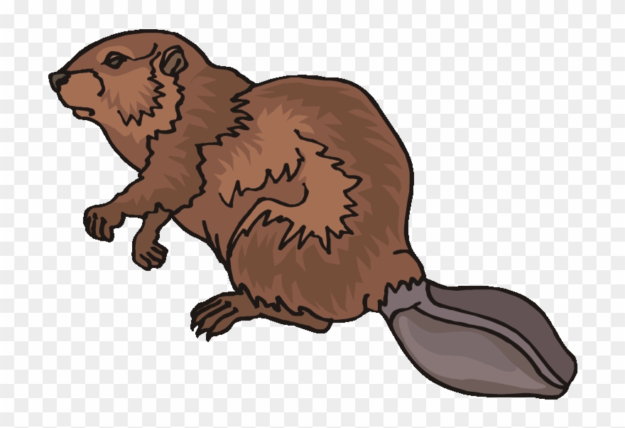 Detail Beaver Clipart Nomer 4