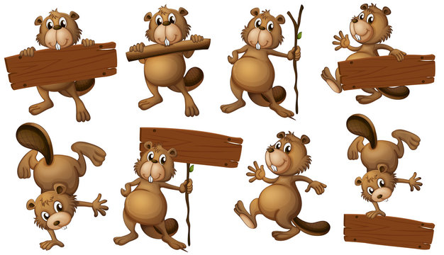 Detail Beaver Clipart Nomer 42