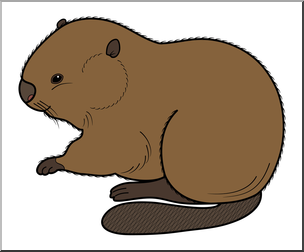 Detail Beaver Images Clip Art Nomer 40