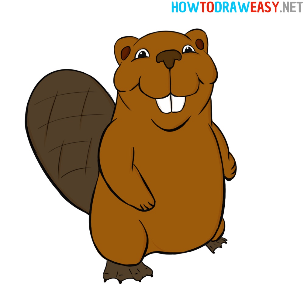 Download Beaver Images Clip Art Nomer 43