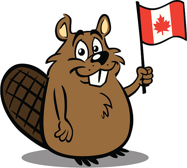 Detail Beaver Images Clip Art Nomer 49