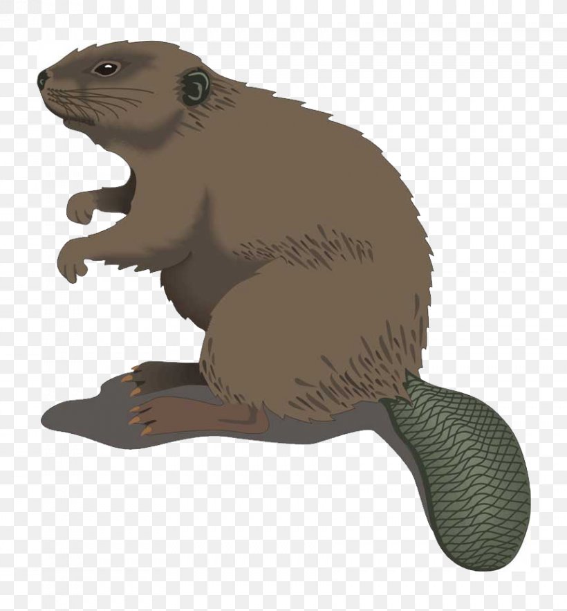 Detail Beaver Images Clip Art Nomer 9