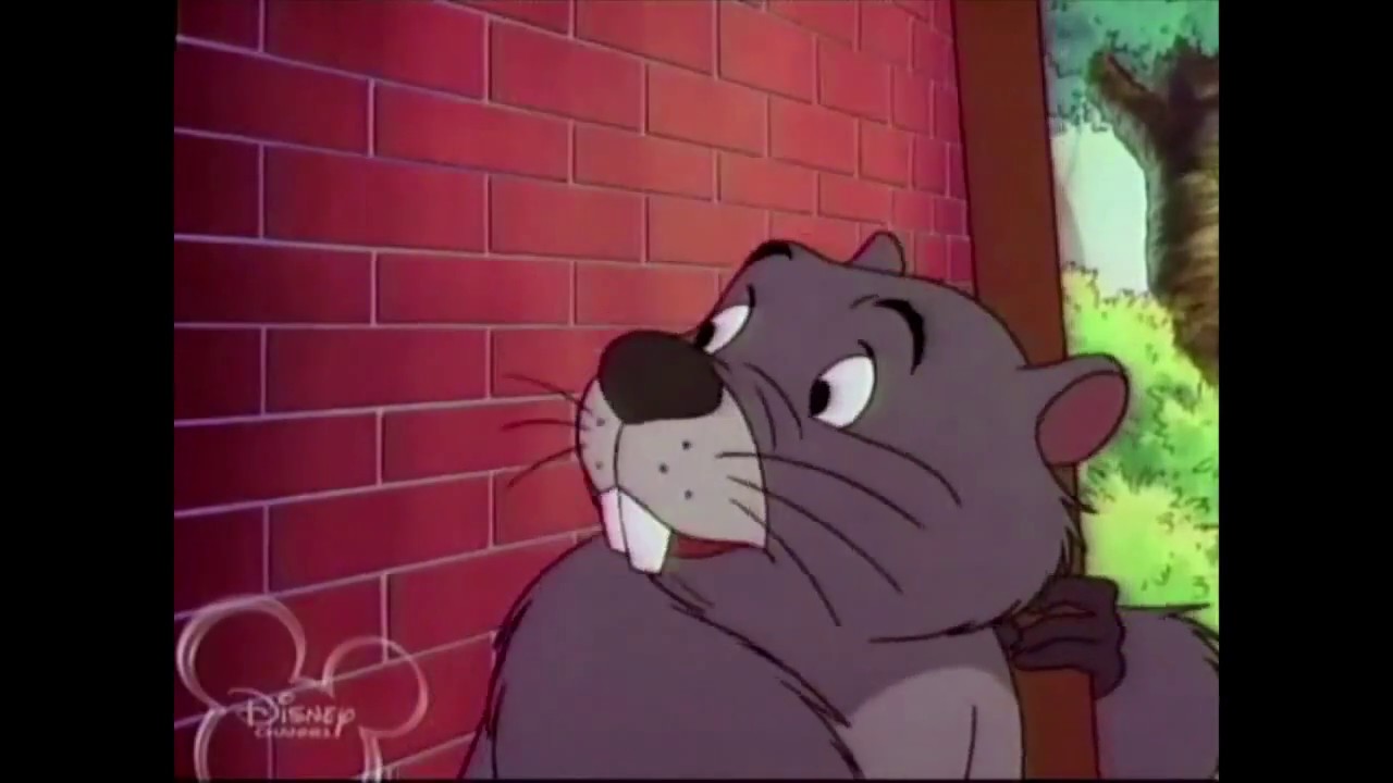 Detail Beaver In Winnie The Pooh Nomer 8