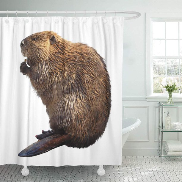 Detail Beaver Shower Curtain Nomer 3