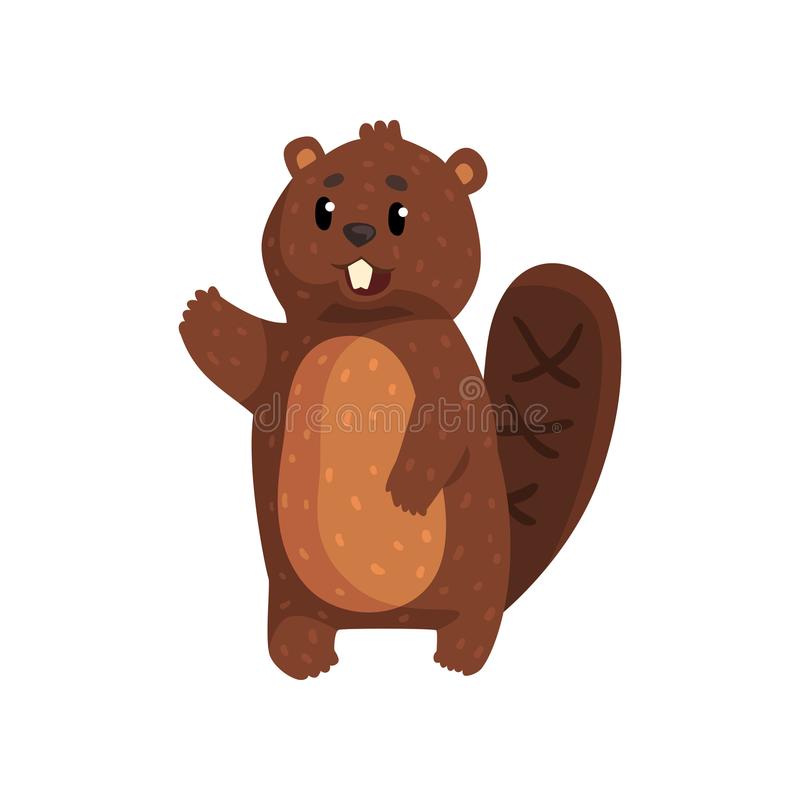 Detail Beaver Tail Clipart Nomer 13