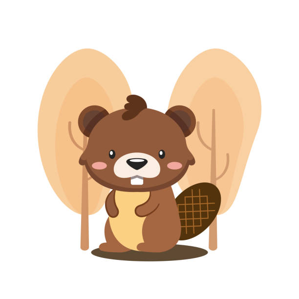 Detail Beaver Tail Clipart Nomer 19