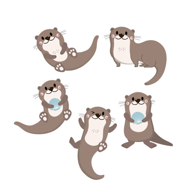 Detail Beaver Tail Clipart Nomer 32