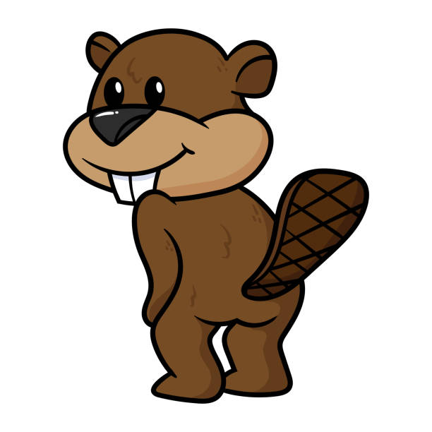 Detail Beaver Tail Clipart Nomer 6