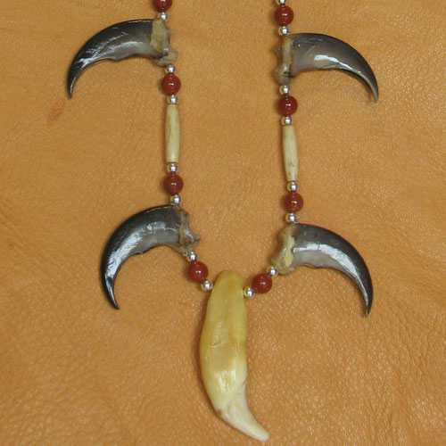 Detail Beaver Teeth Jewelry Nomer 34