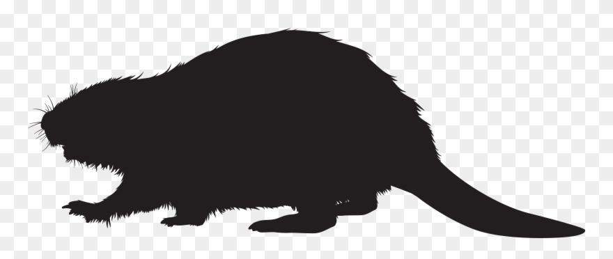 Detail Beaver Transparent Background Nomer 20