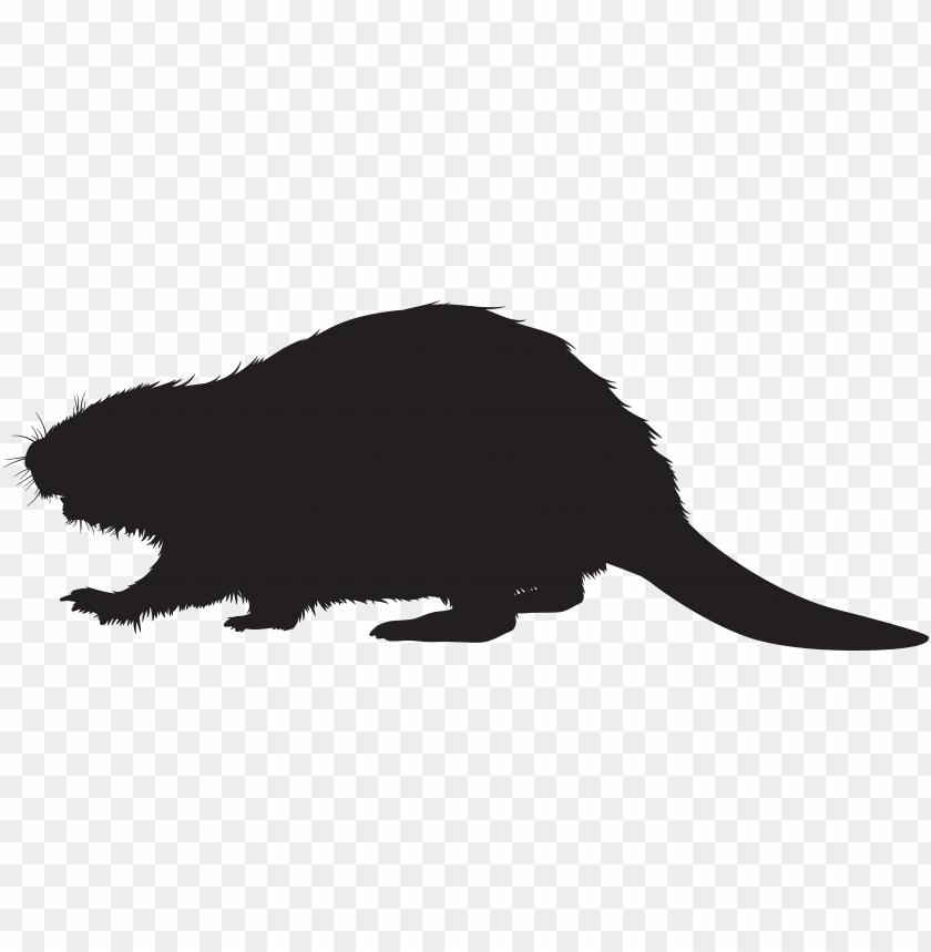 Detail Beaver Transparent Background Nomer 49