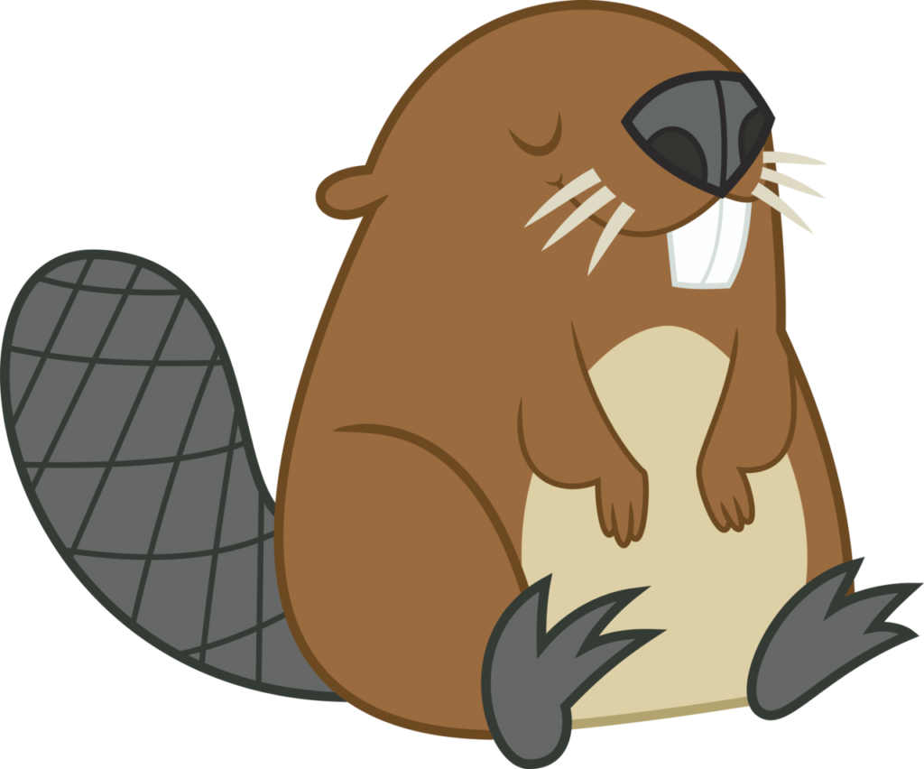 Detail Beaver Transparent Background Nomer 8
