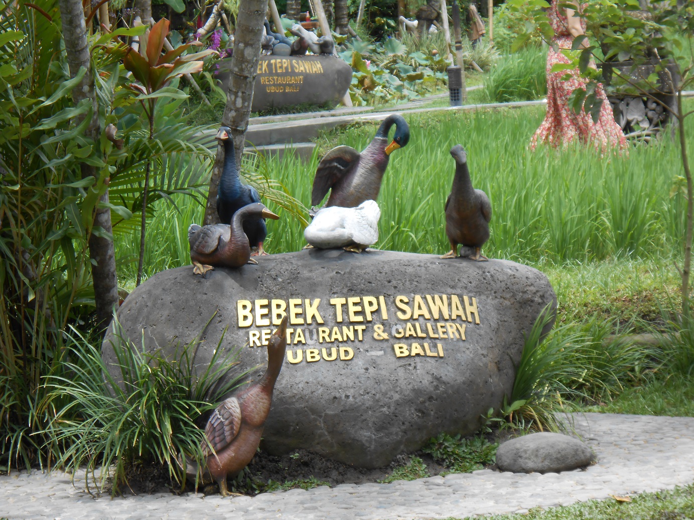 Detail Bebek Bengil Vs Bebek Tepi Sawah Nomer 31