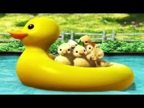 Detail Bebek Lucu Berenang Nomer 6