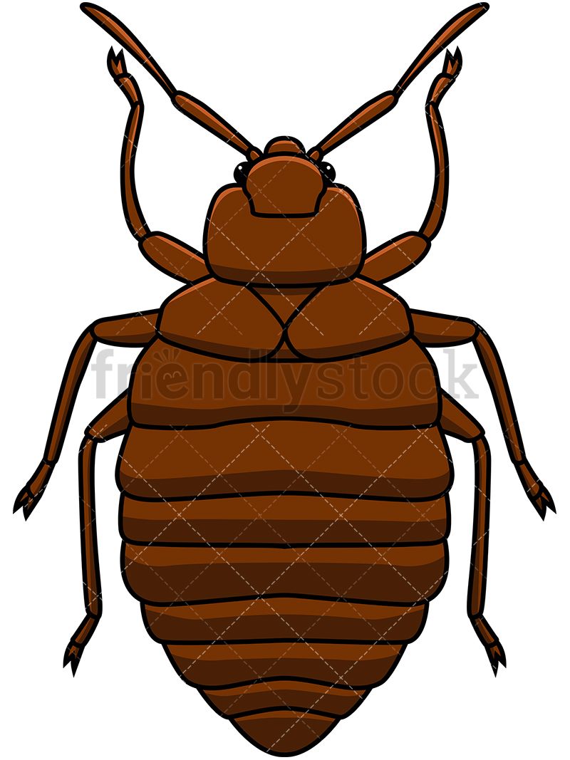 Bed Bug Clipart - KibrisPDR