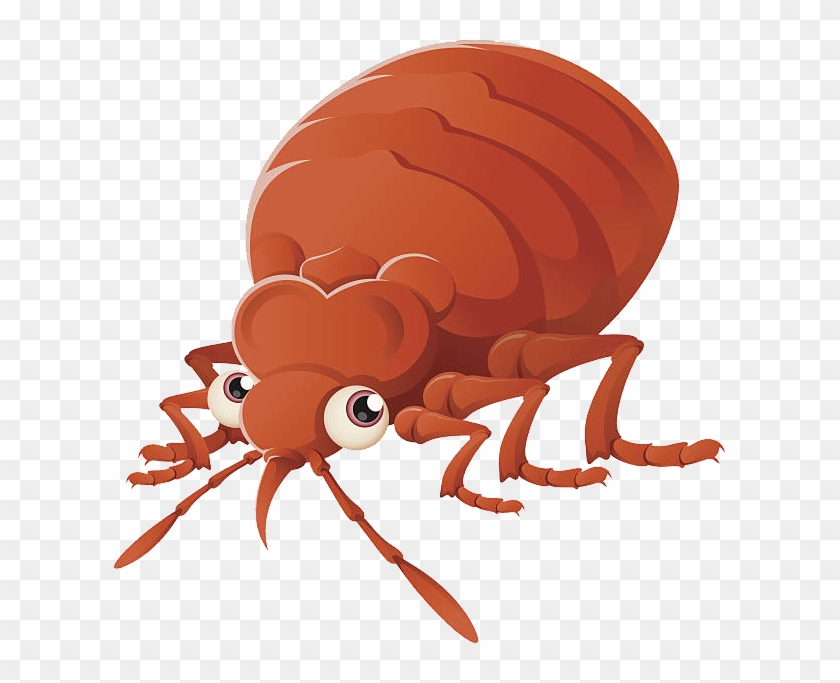 Detail Bed Bug Clipart Nomer 10