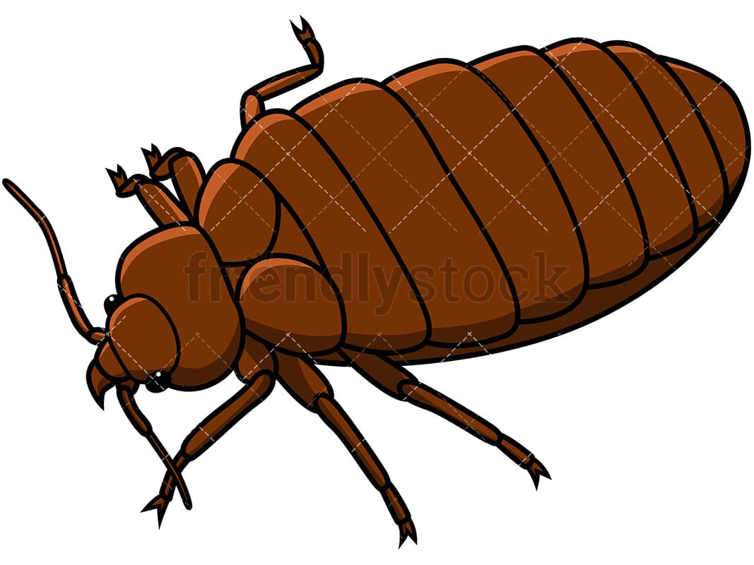 Detail Bed Bug Clipart Nomer 16