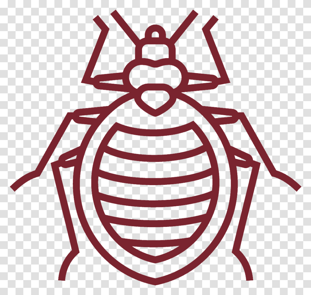 Detail Bed Bug Clipart Nomer 35