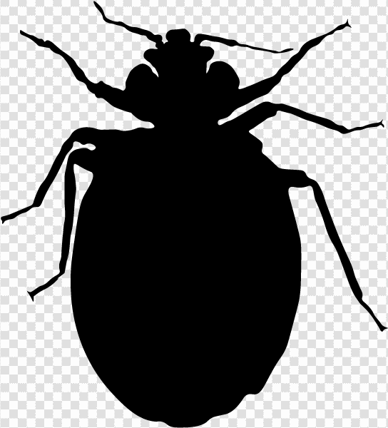 Detail Bed Bug Clipart Nomer 43