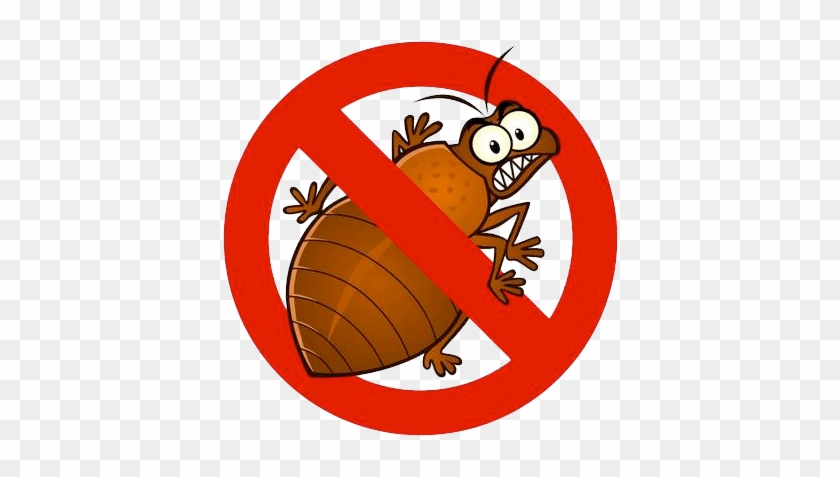 Detail Bed Bug Clipart Nomer 47