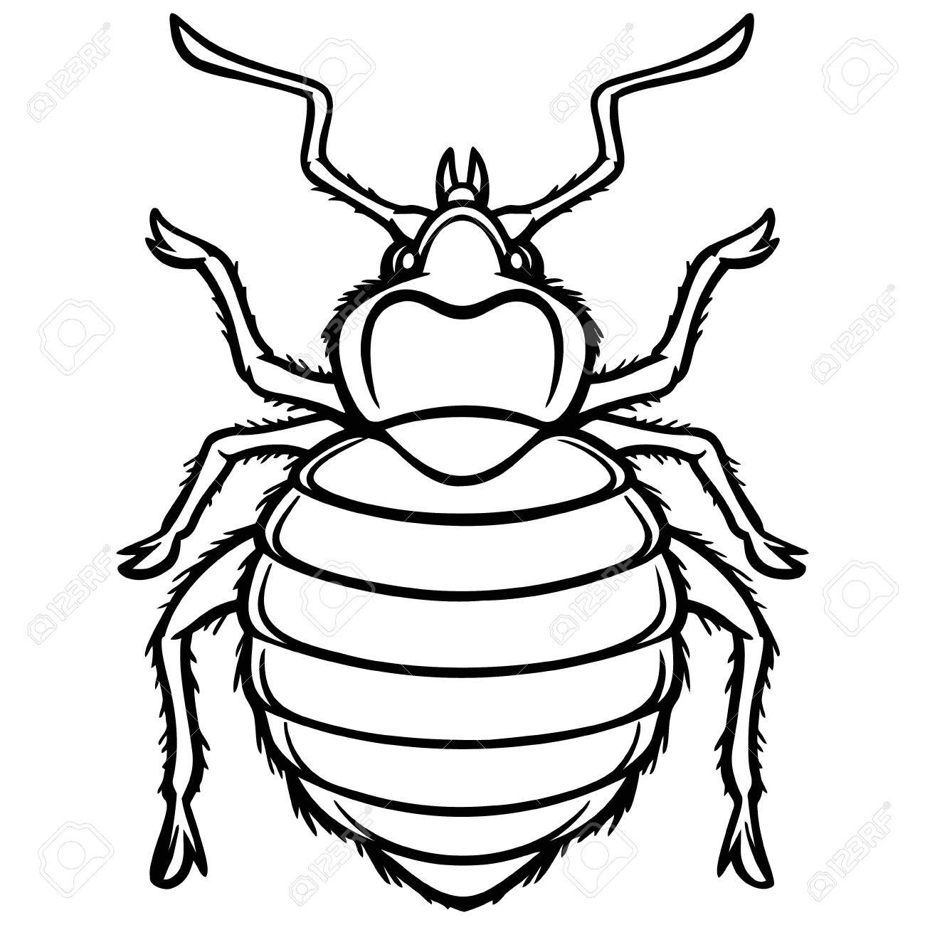 Detail Bed Bug Clipart Nomer 7