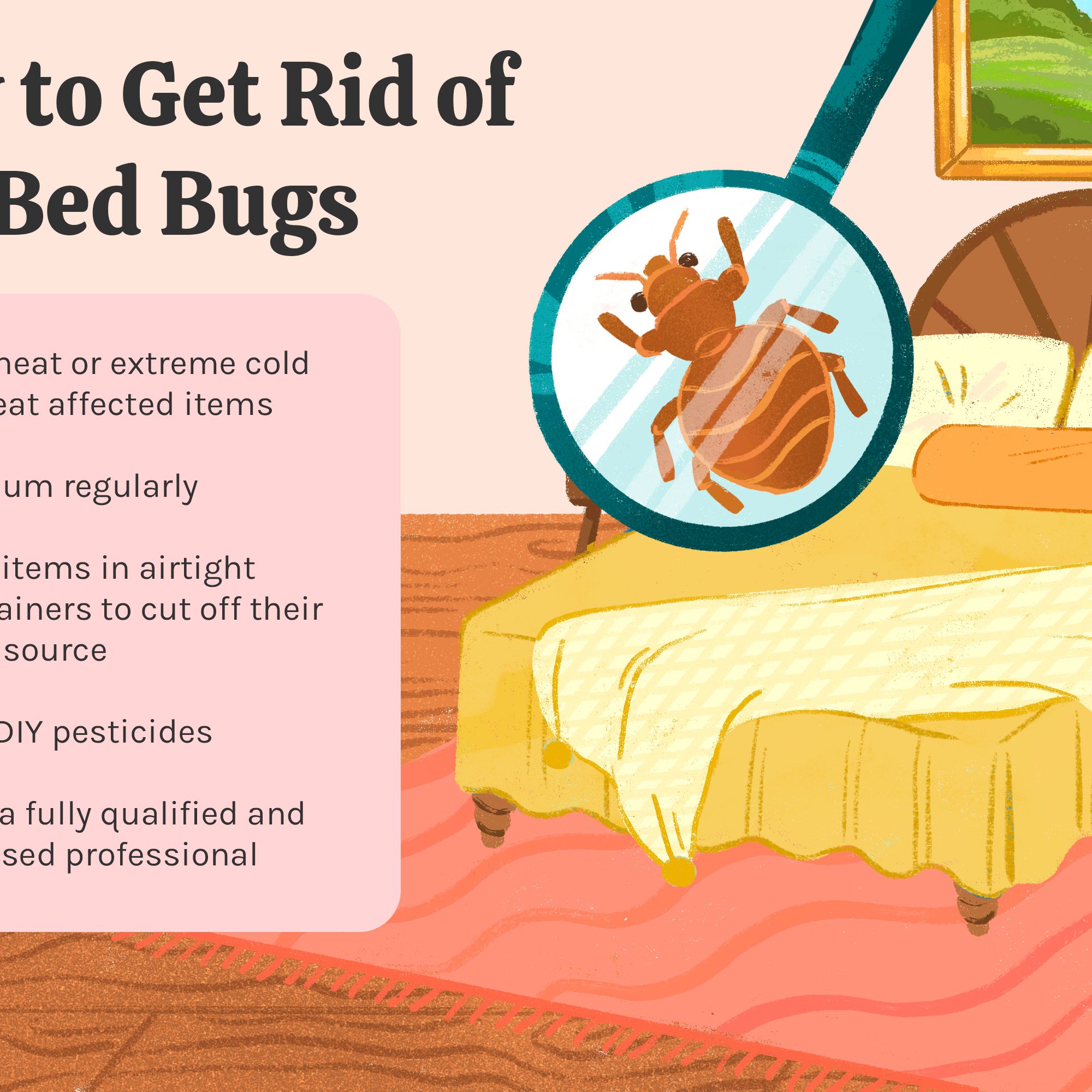 Detail Bed Bug Picture Nomer 29