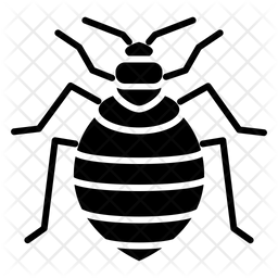 Detail Bed Bugs Transparent Nomer 46