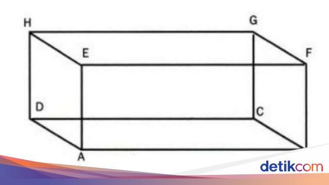 Detail Beda Panjang Dan Lebar Suatu Gambar Nomer 57