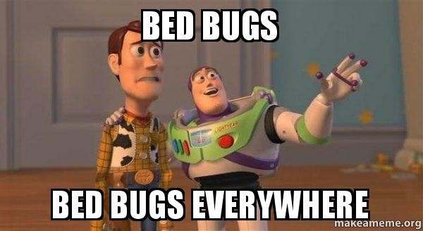 Detail Bedbug Meme Nomer 10
