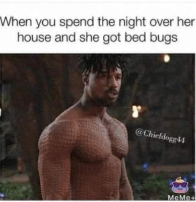 Detail Bedbug Meme Nomer 16