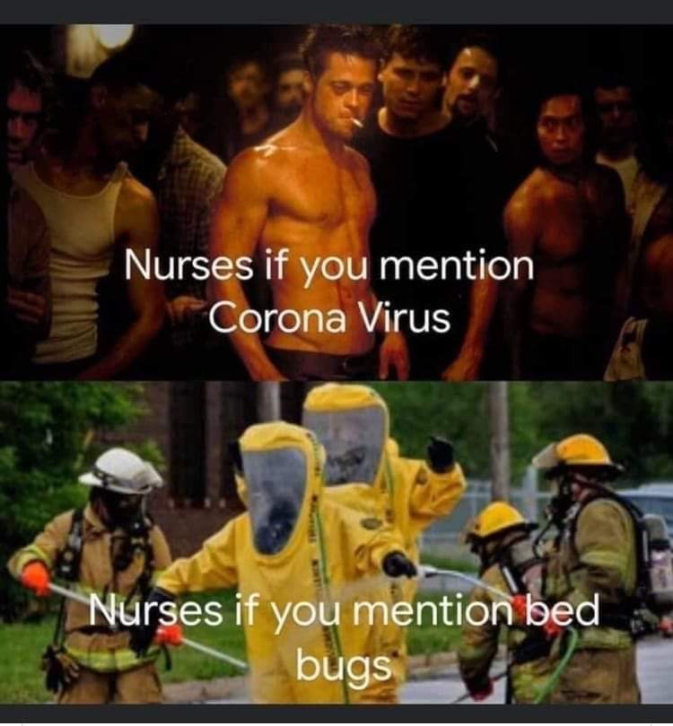 Detail Bedbug Meme Nomer 17