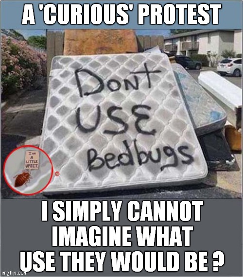 Detail Bedbug Meme Nomer 3