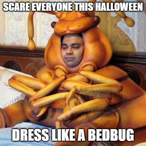 Detail Bedbug Meme Nomer 19