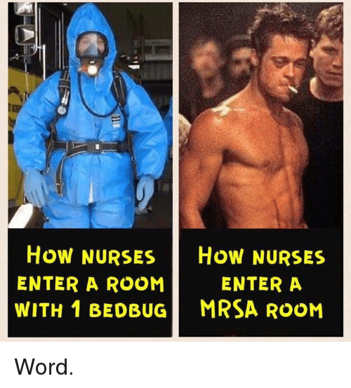 Detail Bedbug Meme Nomer 21