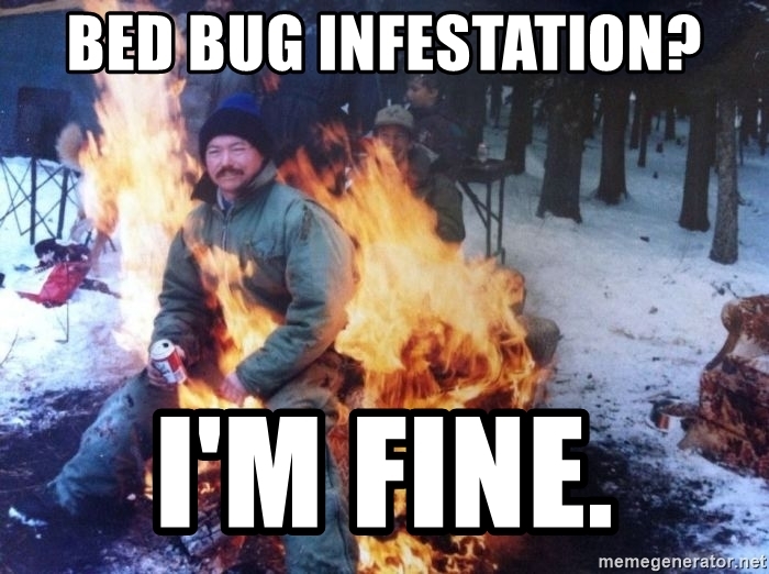 Detail Bedbug Meme Nomer 22