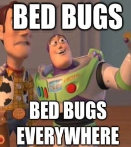 Detail Bedbug Meme Nomer 23