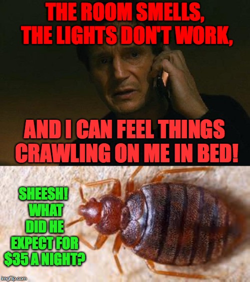 Detail Bedbug Meme Nomer 25