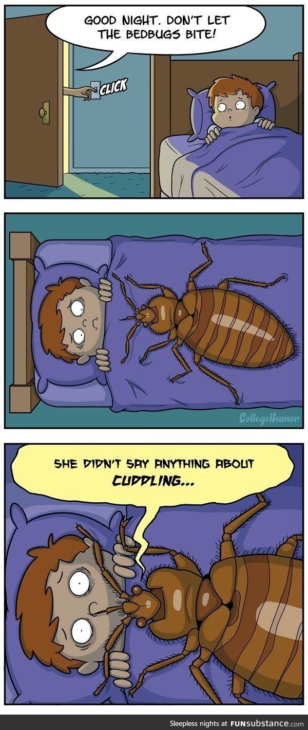 Detail Bedbug Meme Nomer 4