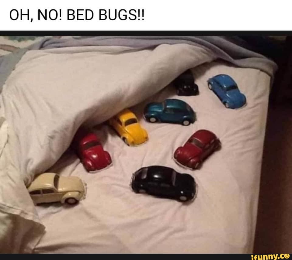 Detail Bedbug Meme Nomer 28