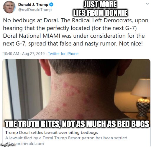 Detail Bedbug Meme Nomer 30