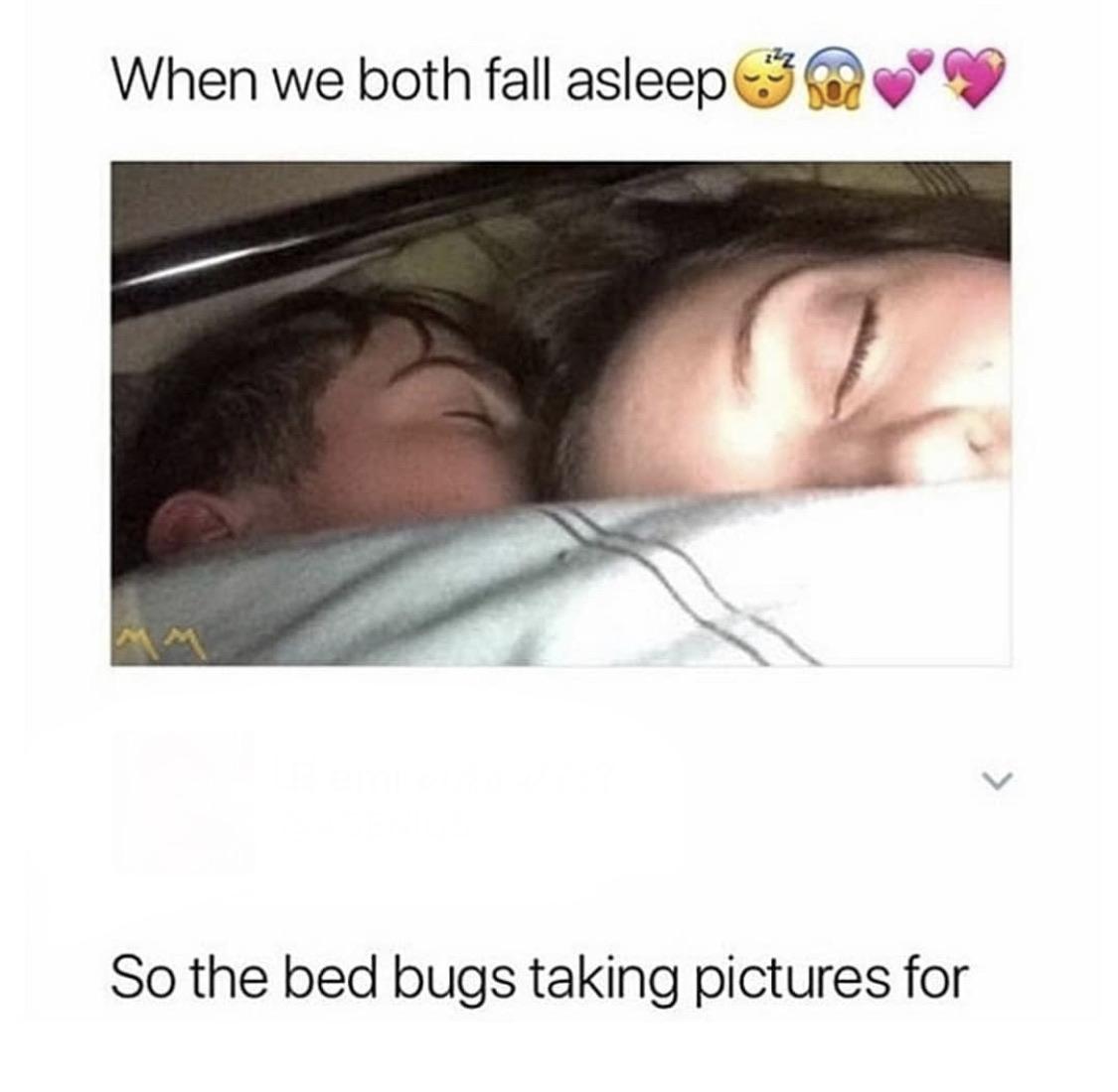 Detail Bedbug Meme Nomer 32