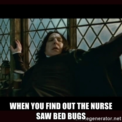 Detail Bedbug Meme Nomer 34