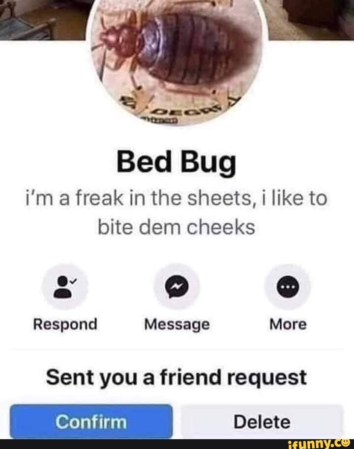 Detail Bedbug Meme Nomer 5