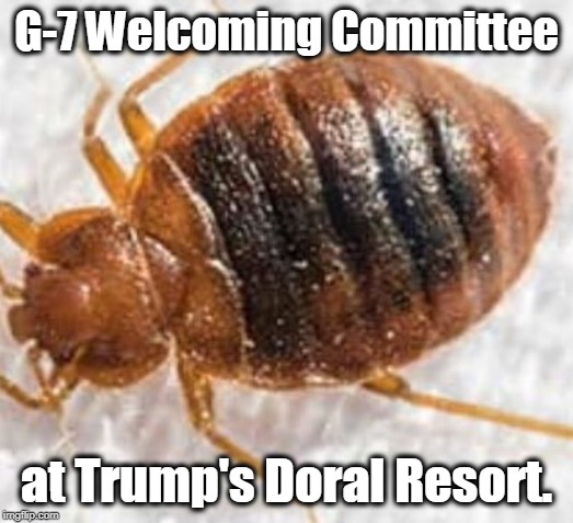 Detail Bedbug Meme Nomer 38