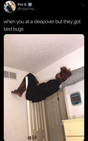 Detail Bedbug Meme Nomer 39
