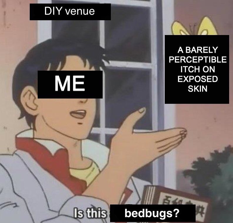 Detail Bedbug Meme Nomer 40
