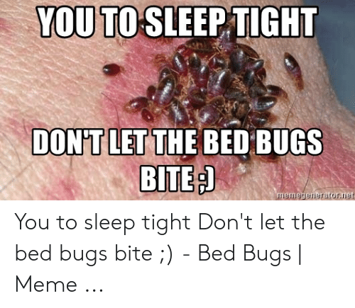 Detail Bedbug Meme Nomer 42